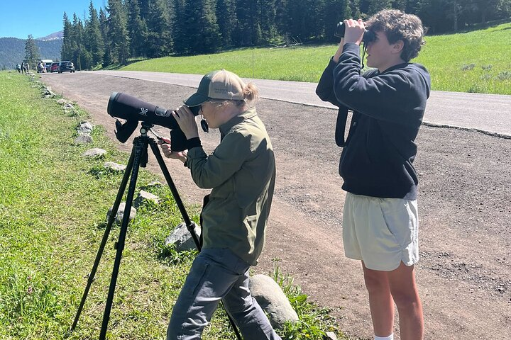Yellowstone Wildlife Safari in Lamar Valley from Bozeman - Photo 1 of 12